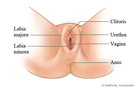 Clitoris over sensitive Clitorodynia: Symptoms,